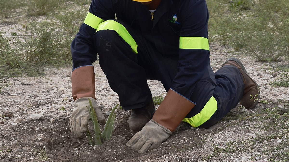 tcmx-RecuperaciondelaTierra-1200x675.jpg